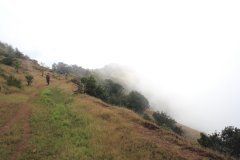 07-Hicking in the Western Ghats